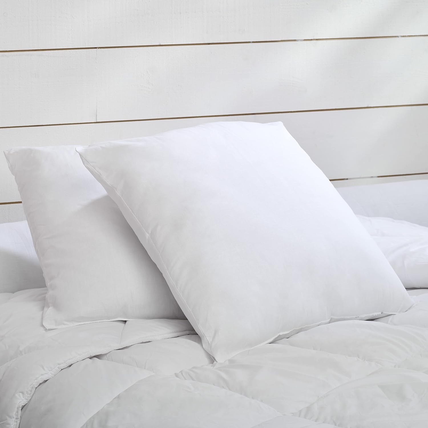 Azul Câlin Juego de 2 almohadas con firme confort "Alaska", súper relleno, sobre de percal 100% algodón, blanco, 65 x 65 cm, forma cuadrada Naty Shop Almohadas estándar forma cuadrada 65 x 65 cm