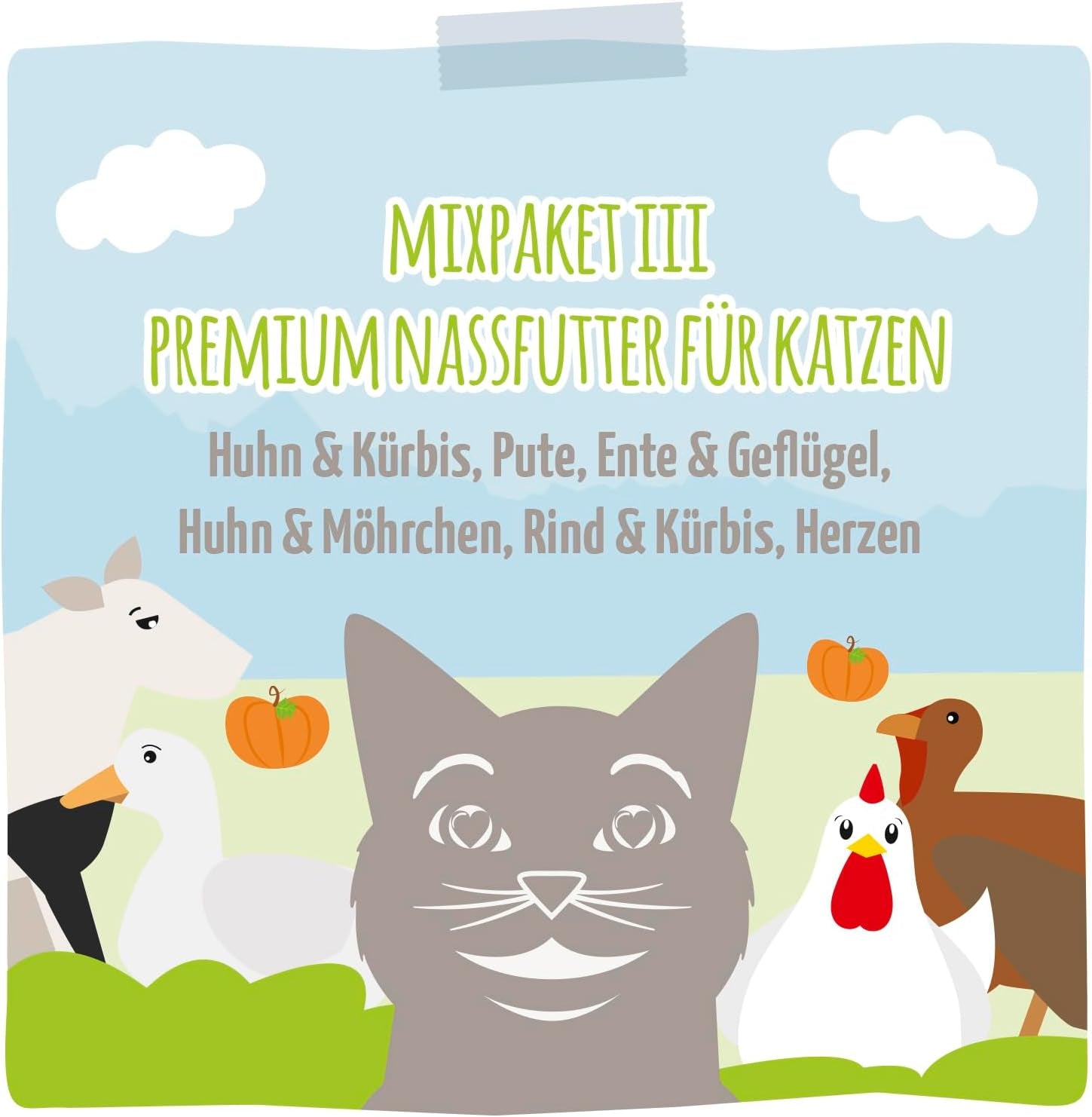 MjAMjAM - Comida húmeda premium para gatos - Deliciosa mezcla Pack III Comidas para tu gato Paquete de 6 (6 x 200 g) Sin cereales con carne extra