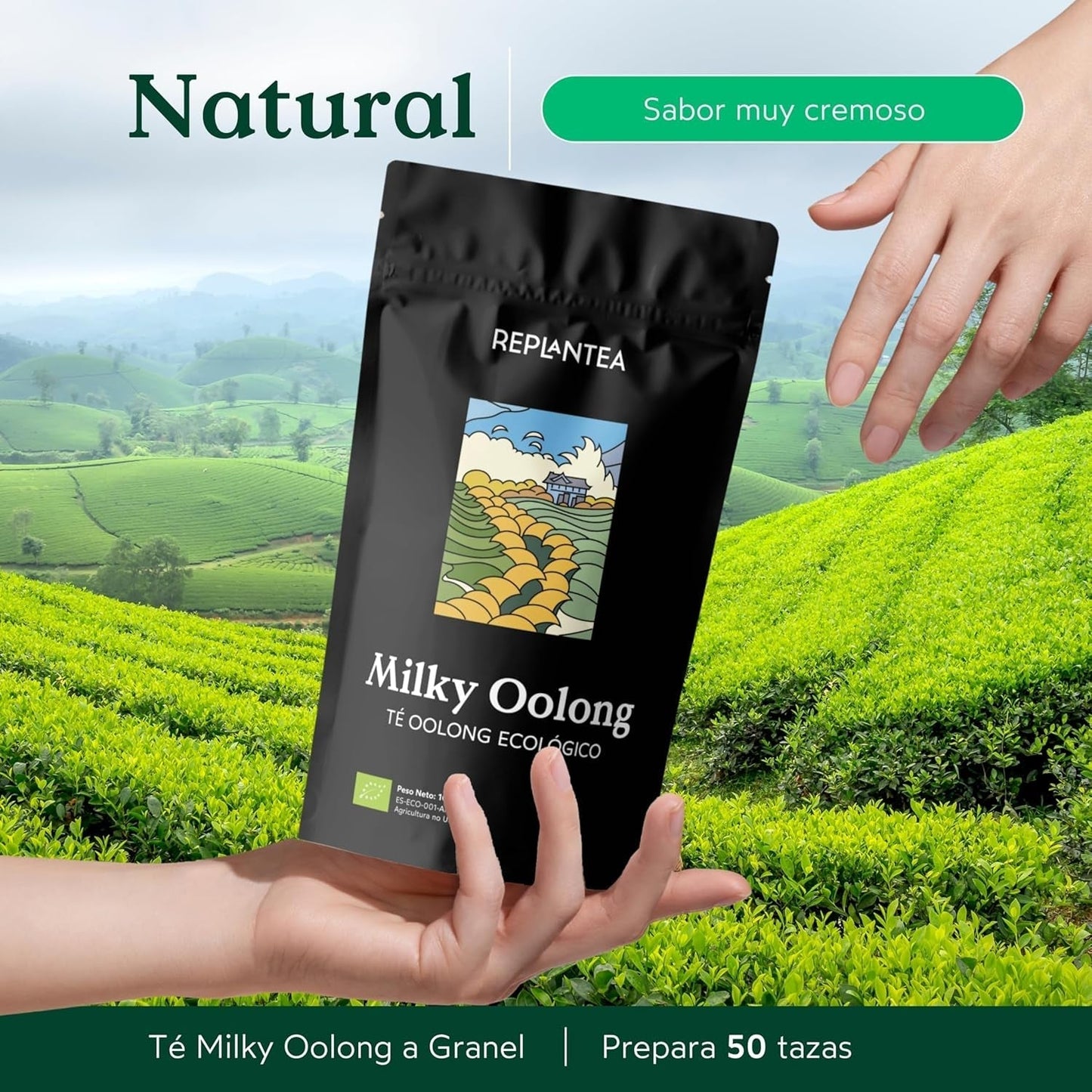 Té Oolong con leche BIO (100 g) | Té Oolong suelto premium con notas de leche cremosas y dulces | Especialidad en té delicado | REPLANTAR