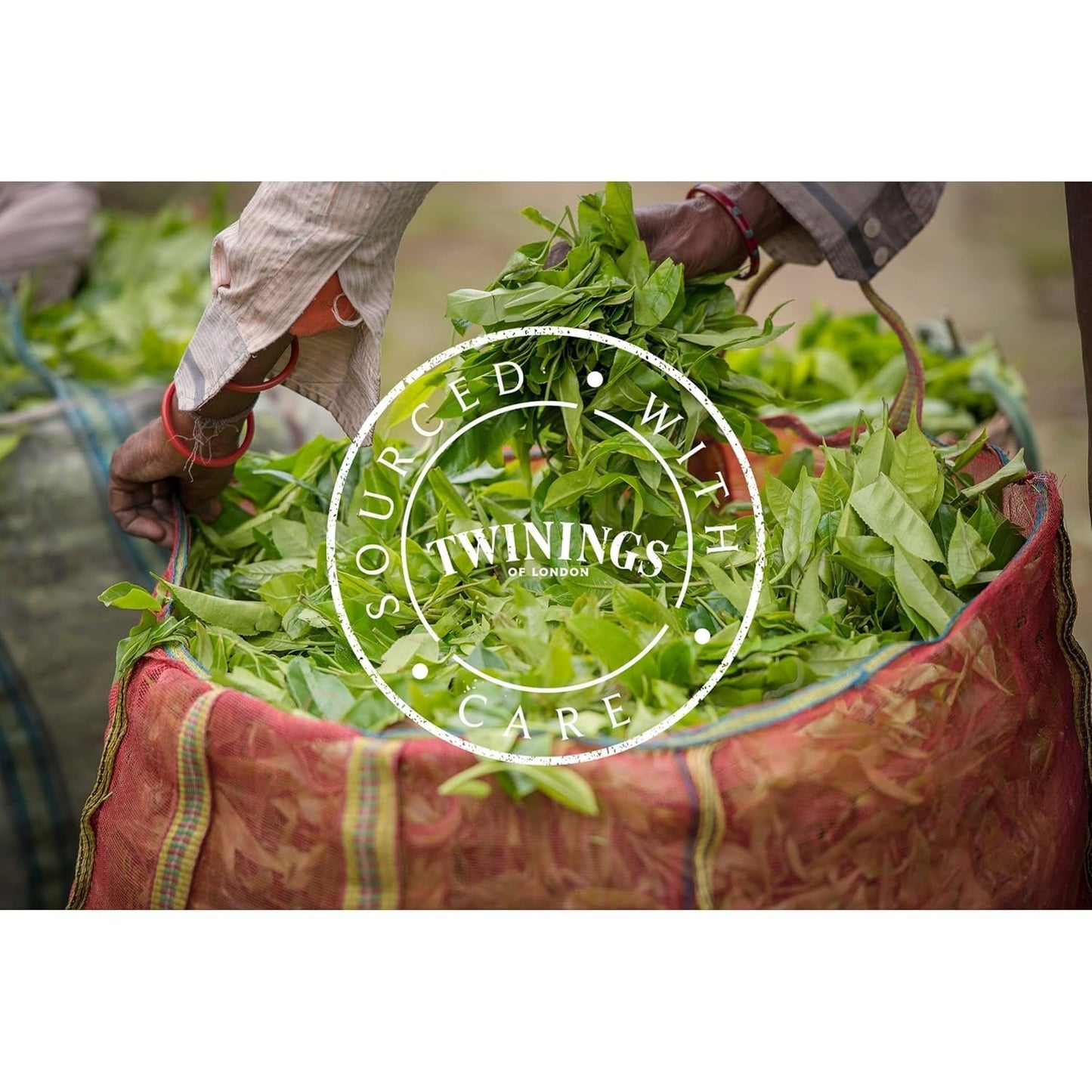 Twinings English Breakfast Tea Té negro suelto en caja de té Té negro fuerte elaborado con hojas de té de alta calidad recogidas de las mejores plantaciones de té de Sri Lanka y la India G, neutro, 100 gramos