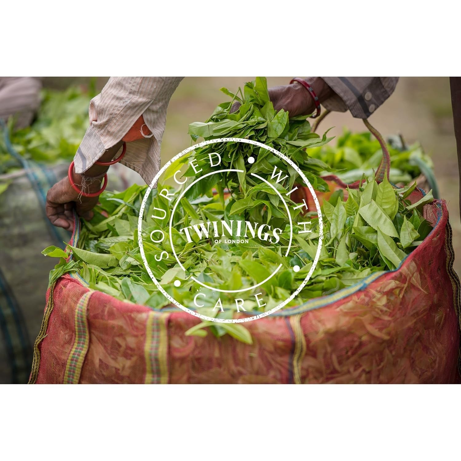 Twinings English Breakfast Tea Té negro suelto en caja de té Té negro fuerte elaborado con hojas de té de alta calidad recogidas de las mejores plantaciones de té de Sri Lanka y la India G, neutro, 100 gramos