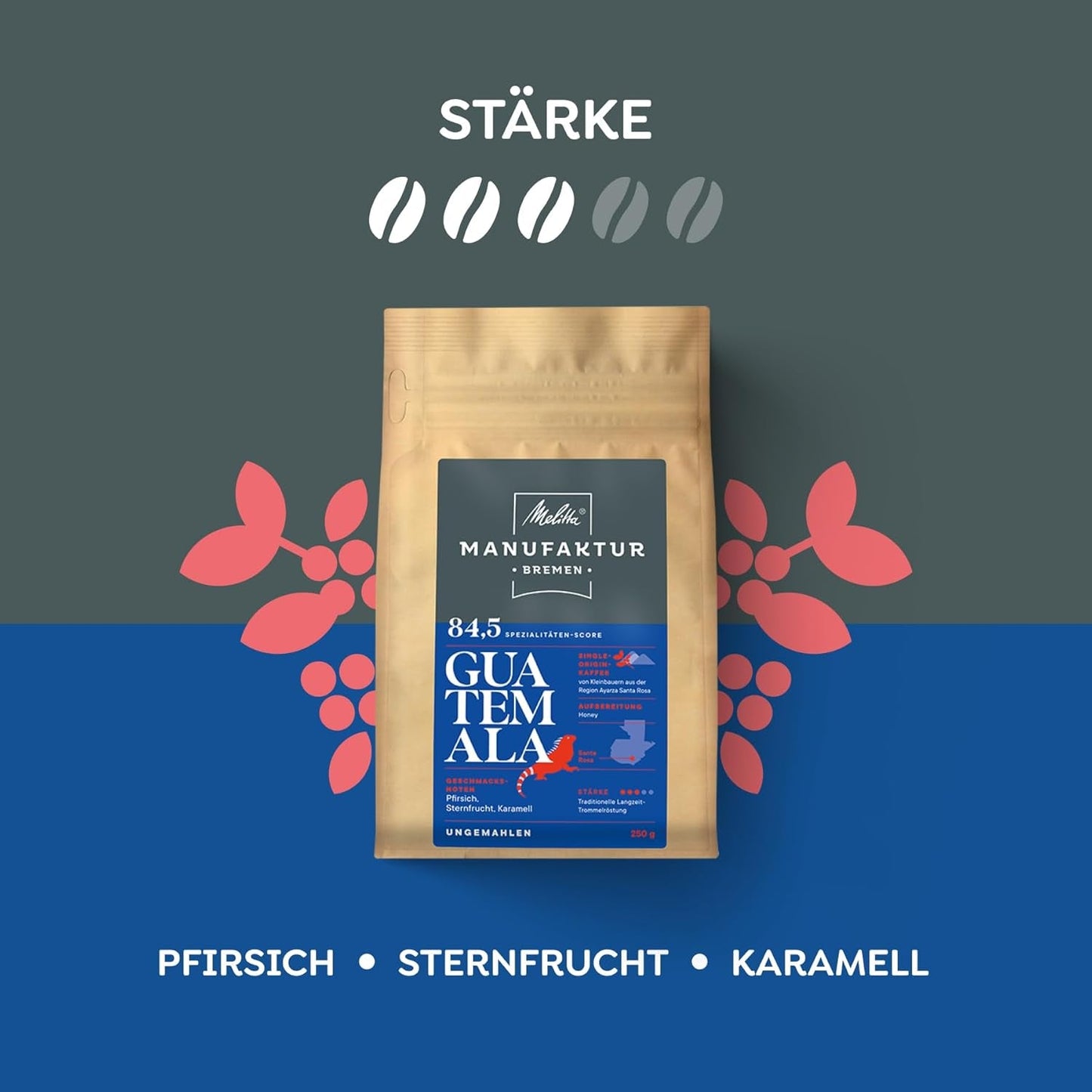 Melitta Manufaktur-Kaffee Miel de Guatemala, Spezialitäten, 250 g, Ganze Bohnen, Ungemahlen, Single-Origin, Sanfte Trommelröstung, Geröstet in Deutschland, Stärke 3