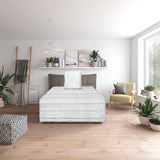 Juego de cama básico Traumnacht Green compuesto por edredón para todo el año, 135 X 200 cm + almohada de 80 X 80 cm, certificado Oeko-Tex, producido según el estándar de calidad alemán Edredones y edredones Naty Shop Juego de cama para todas las estaciones 135 X 200 Cm