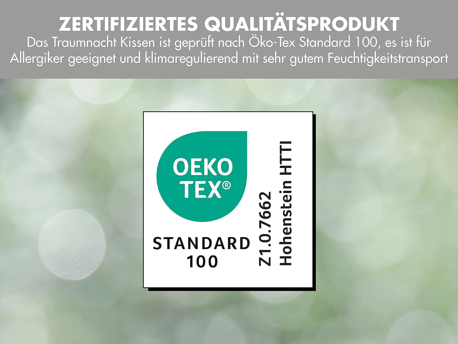 Traumnacht Almohada de bambú con fibras de bambú, hipoalergénica, antibacteriana Juego de almohadas con cremallera, compuesto por 2 almohadas de 40X80Cm, certificado Oeko-Tex, desarrollado en Alemania Naty Shop almohadas estándar