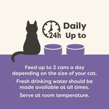 Applaws Comida Húmeda Premium 100% Natural para Gatos Adultos en Caldo - Atún, Pollo, Marisco, Selección Mixta en Caldo - Paquete de 12 Latas x 70g