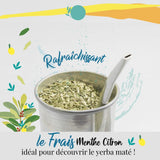 ORIGEENS YERBA MATE BIO CON MENTA Y LIMÓN 200 G - Frescura I Yerba Mate Bio Sin Tostar, hojas, sin tallos y sin polvo