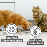 catz finefood Senior Collection Katzenfutter nass - Premium Nassfutter für Ihre Senior Katze - getreidefrei, ohne Zucker, hoher Fleischanteil, Vitamine & Mineralien (6 dosis de 200 g)