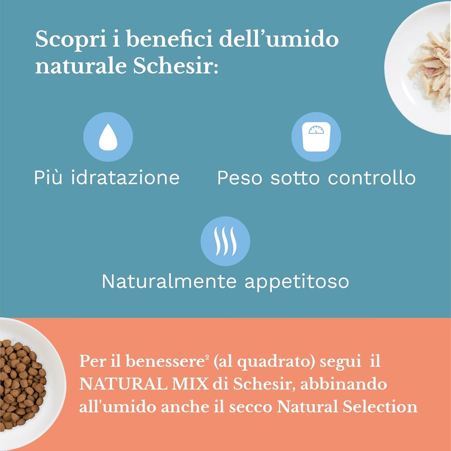 Comida húmeda para gatos adultos, filetes de pollo en filetes y gelatina 100% natural, pack de 6 cajas x 85g