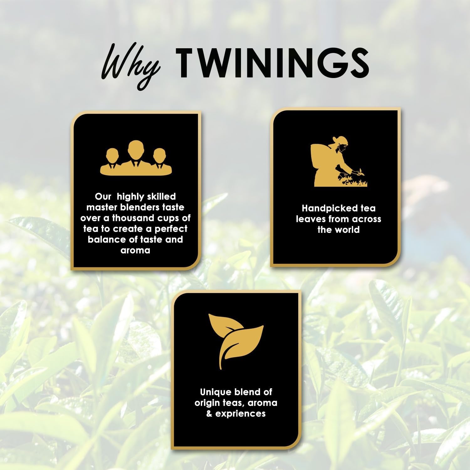 Twinings English Breakfast Black Tea 50g, 25 bolsitas de té, té negro completo, redondo y fuerte procedente de las mejores plantaciones de té de Sri Lanka y la India. Té negro Paquete de 1 (1 x 50 g)