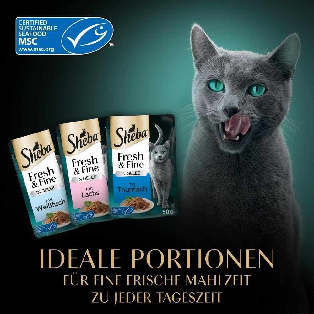 Sheba Portion Bolsas Comida húmeda para gatos, Multipack Fresh & Fine en gelatina con atún MSC y salmón, 6x6x50g - Comidas saludables para gatos con gelatina