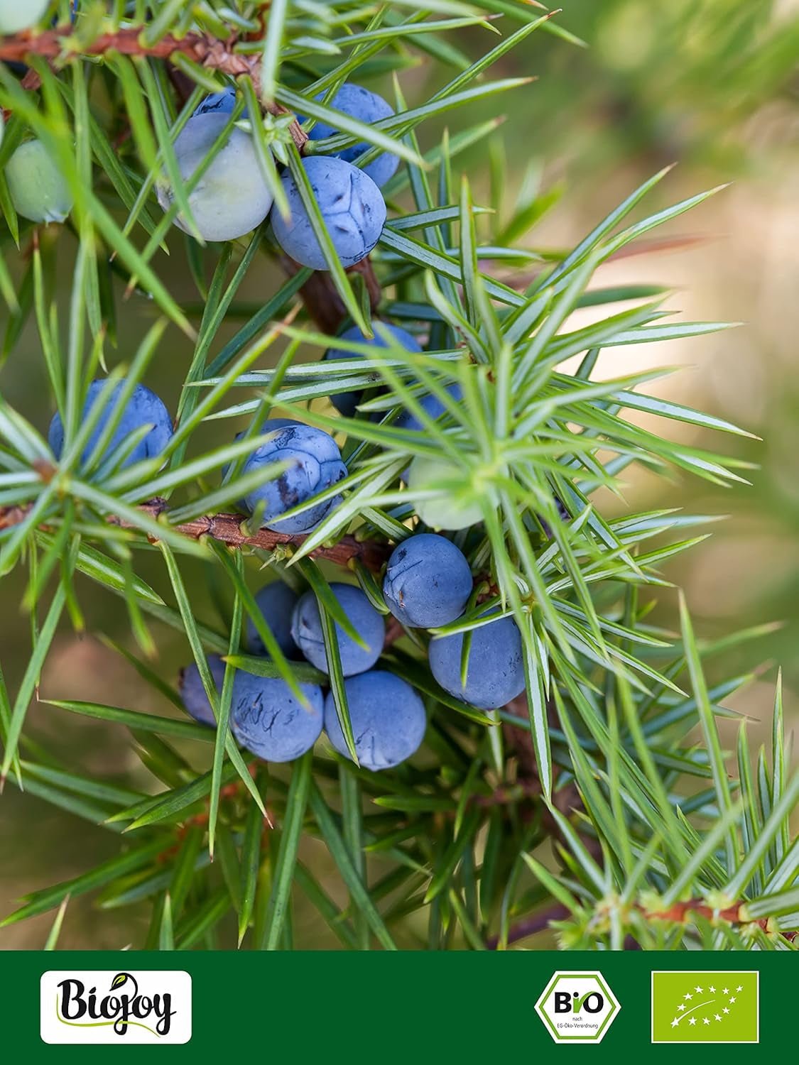 Biojoy fruto de enebro ecológico (250 g), seco y entero, sin añadidos (Juniperus communis) Productos deshidratados Naty Shop