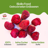 biolla food fresas enteras secas, 0,5 kg, 100% natural. Meriendas saludables para niños. Ideal para batidos, muesli de avena, té y gachas. Larga vida útil. VEGANO, SIN GLUTEN, COMIDA CRUDA Naty Shop Productos Deshidratados