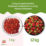 biolla food fresas enteras secas, 0,5 kg, 100% natural. Meriendas saludables para niños. Ideal para batidos, muesli de avena, té y gachas. Larga vida útil. VEGANO, SIN GLUTEN, COMIDA CRUDA Naty Shop Productos Deshidratados
