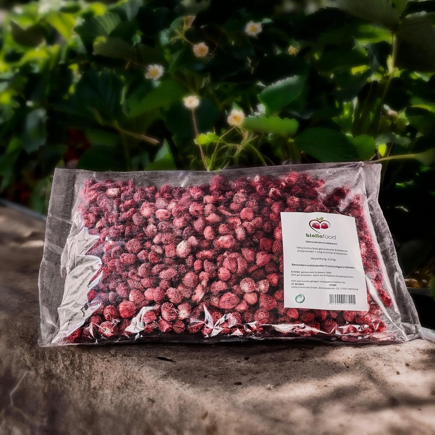 biolla food fresas enteras secas, 0,5 kg, 100% natural. Meriendas saludables para niños. Ideal para batidos, muesli de avena, té y gachas. Larga vida útil. VEGANO, SIN GLUTEN, COMIDA CRUDA Naty Shop Productos Deshidratados