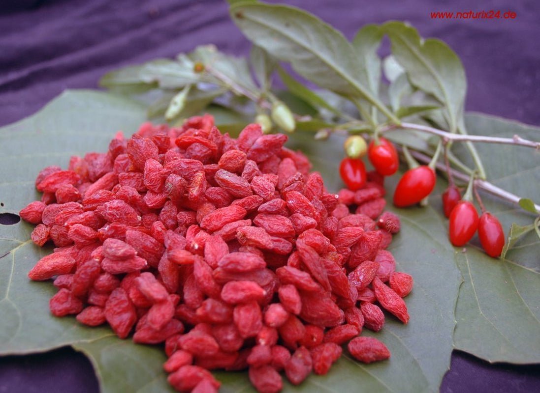 Bayas de goji secas - bolsita de sabor, 1 paquete (1 x 1 kg) Productos deshidratados Naty Shop Título predeterminado