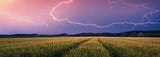 Ravensburger Nature Edition 17491 Tormenta de verano - Puzzle de 500 piezas para adultos y niños a partir de 12 años Puzzle Naty Shop