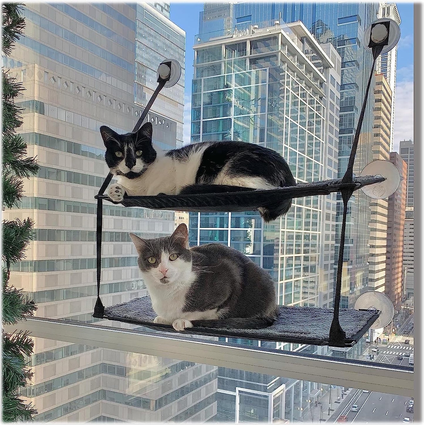 Mantas y muebles, Asientos para ventanas, Mascotas, Gatos, Camas para gatos, Gatos - camas, colchones