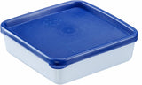 Westmark 4 recipientes para conservar alimentos y congelar, incluida tapa, capacidad: 0,25 l cada uno, apilables, plástico, Trio, color: transparente/azul, 25042270 Cajas para almacenar alimentos Naty Shop