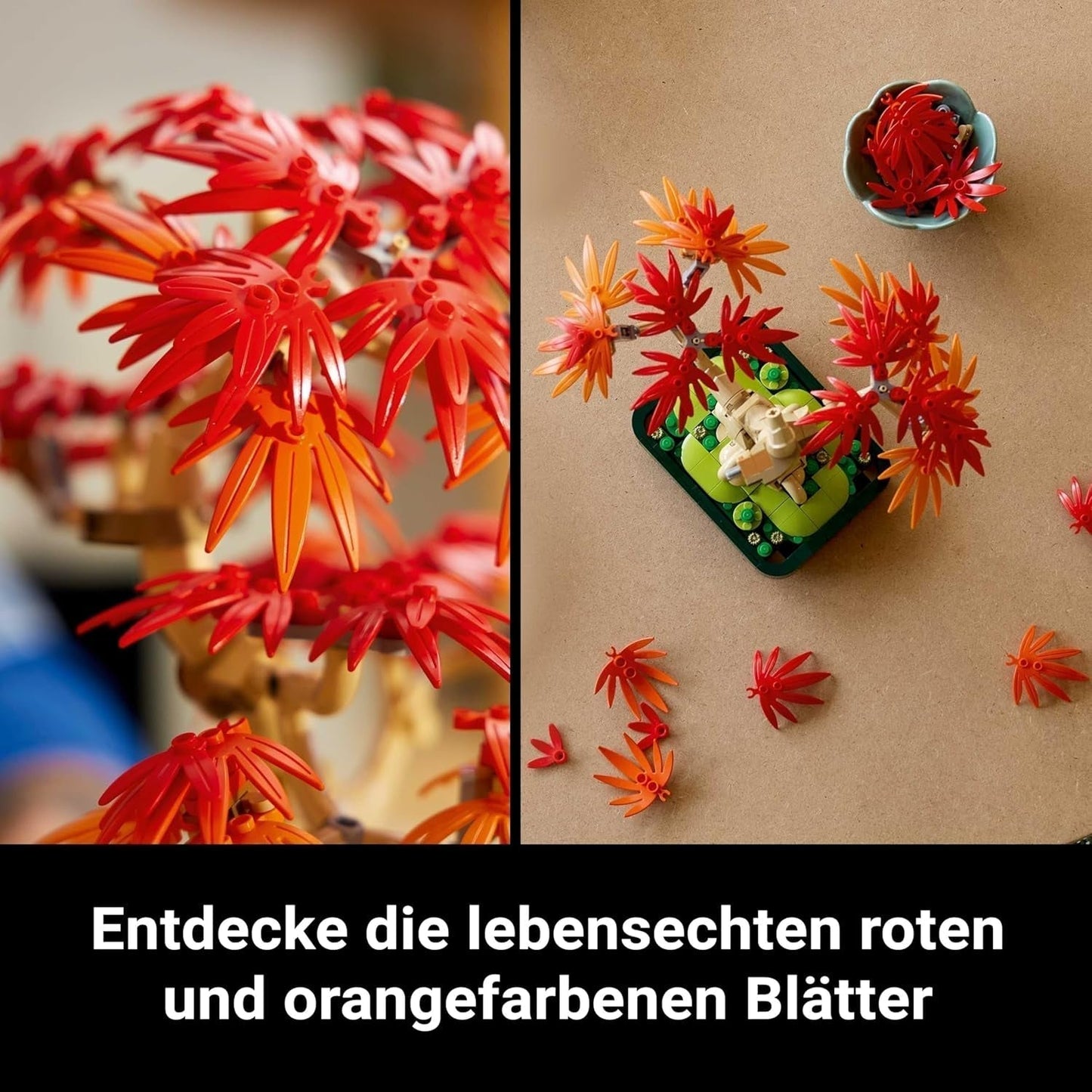 LEGO Botanicals Arce rojo japonés - Árbol bonsái - Kit de plantas artificiales con hojas rojas y naranjas, más cuenco - Decoración del hogar - Idea de regalo para adultos - 10348 Juegos de construcción Besuche den LEGO-Store