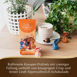 Chocolate - Surtido FIORETTO Minis | 115 gramos | Aprox. 10 bombones de chocolate con leche en sabores mazapán, capuchino y turrón, contiene alcohol | Set de regalo de chocolate | Set de regalo de chocolate (paquete de 5)