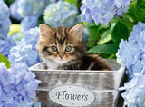 Puzzle infantil Ravensburger - 12894 Little Cat - Puzzle de animales para niños a partir de 9 años, con 300 piezas en formato XXL Puzzle Naty Shop