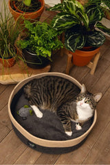 Camas, mantas y muebles, mascotas, gatos, camas para gatos, Gatos - camas, colchones