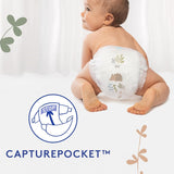 Douceur Naturelle - Braguitas, Talla 6 (16-26 kg) pack 1 mes - 112 braguitas
