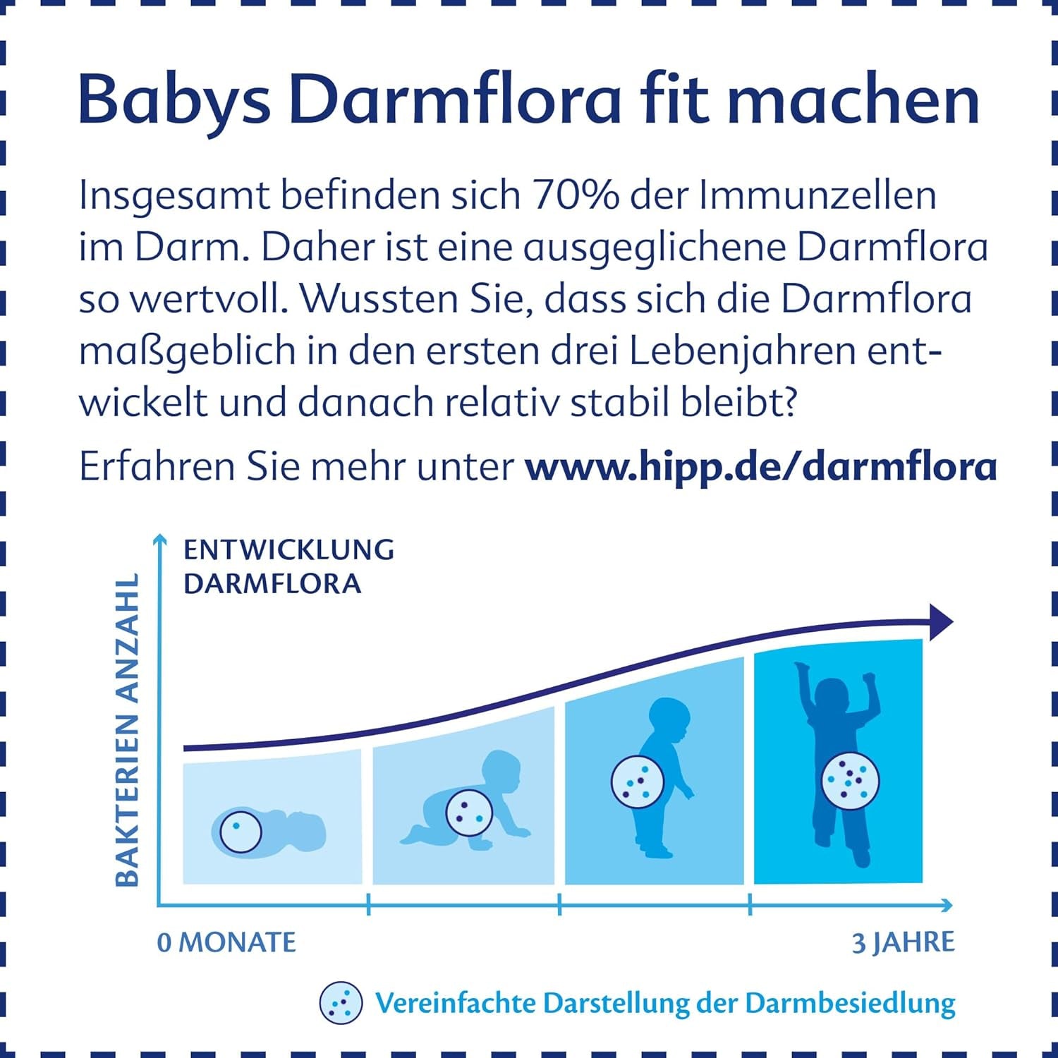 HiPP 3 Organic Combiotik (4 x 600g), leche de continuación a partir de 10 meses, con cultivos naturales de ácido láctico, vitaminas C y D, GOS, Omega-3 (DHA, ALA), de la mejor calidad biológica