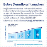 HiPP 2 Organic Combiotik (4 x 600g), leche de continuación a partir de los 6 meses, con almidón, cultivos naturales de ácido láctico, GOS, Omega-3 (DHA, ALA), de la mejor calidad biológica