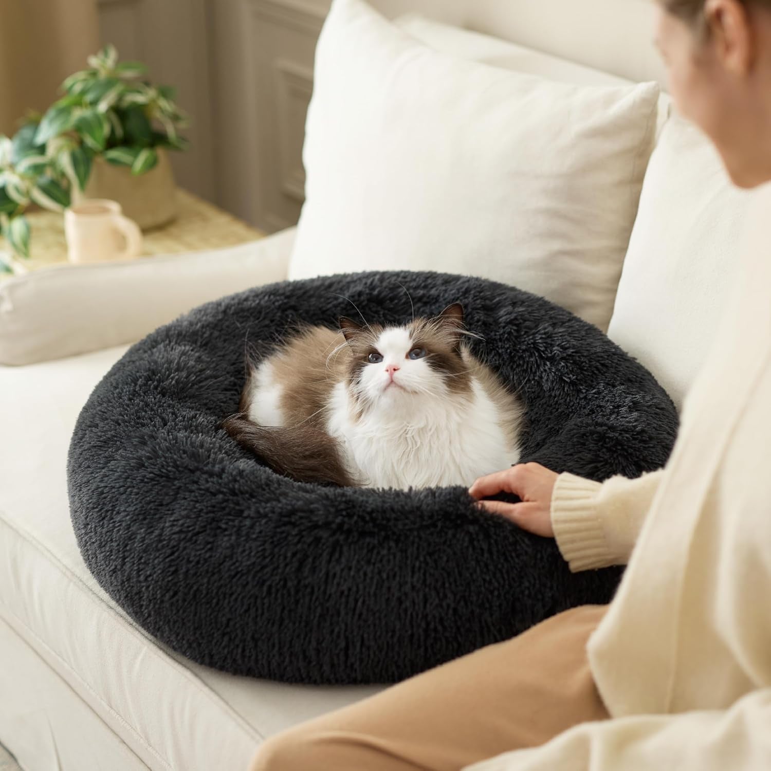 Camas y Sofás, Mantas y Muebles, Mascotas, Gatos, Camas para gatos, Gatos - camas, colchones