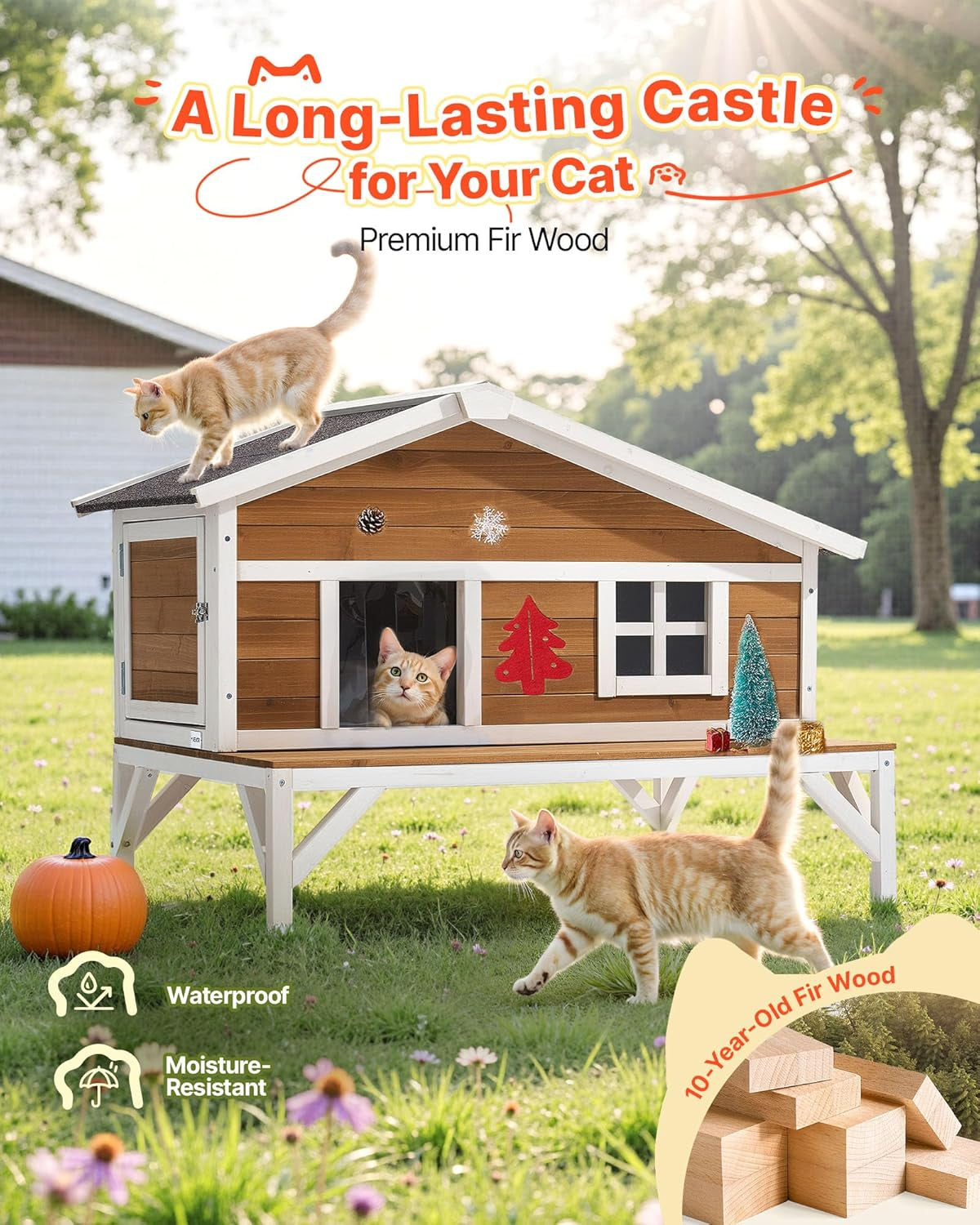 Mantas y Muebles, Mascotas, Casas y Cuevas, Gatos, Camas para gatos, Gatos - camas, colchones