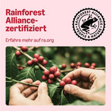 de Amazon Klassische Kaffeepads aus 100% Arábica, fabricado para Senseo-Maschinen, 36 piezas (1 paquete con 36 piezas) – Certificado Rainforest Alliance