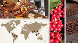 Café en grano New York Caffe EXTRA 500g