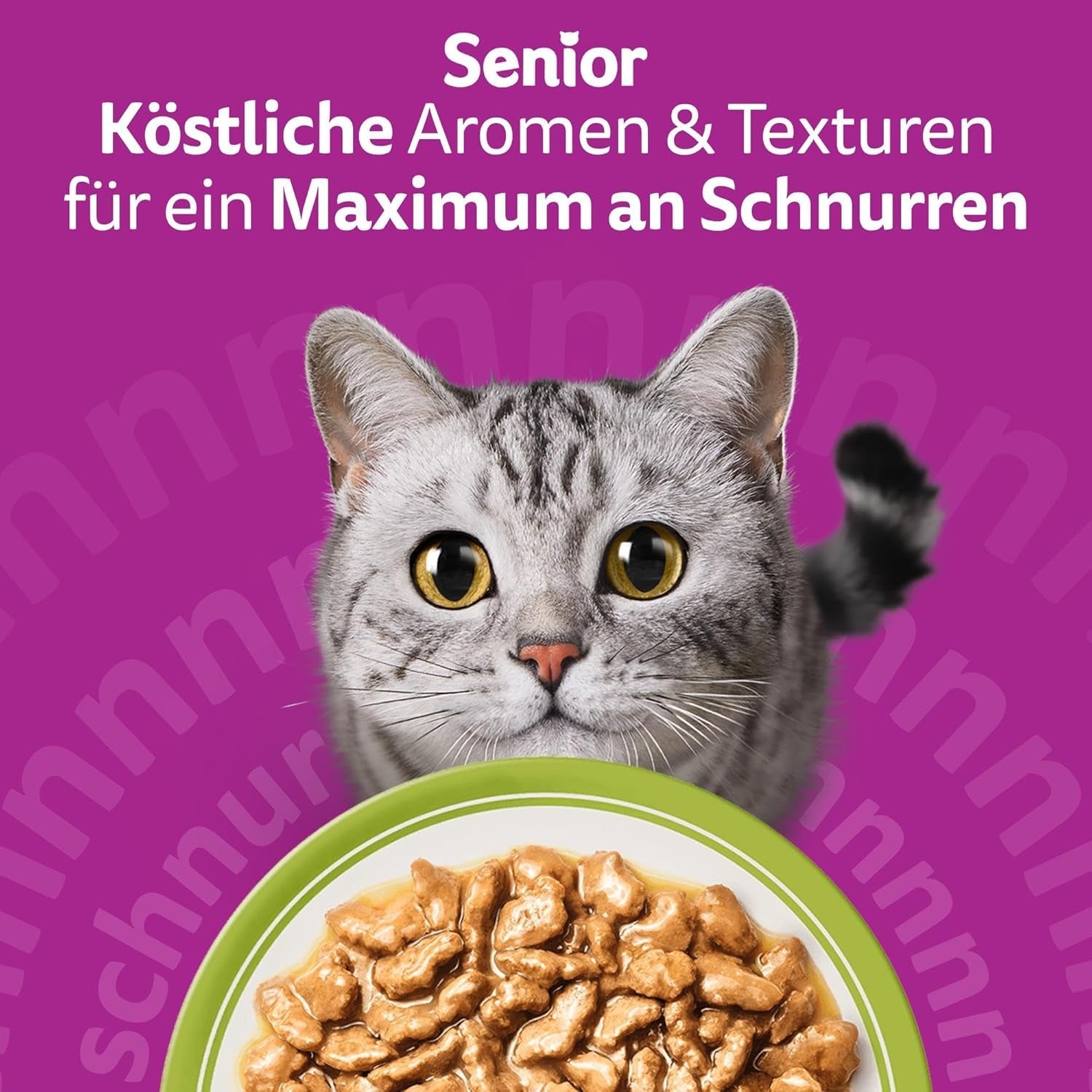 Whiskas Senior 7+ Comida Húmeda Selección Mixta en Gelatina, 84 Sobres, 84x85g (1 Paquete Grande) - Comida húmeda de alta calidad para gatos a partir de 7 años