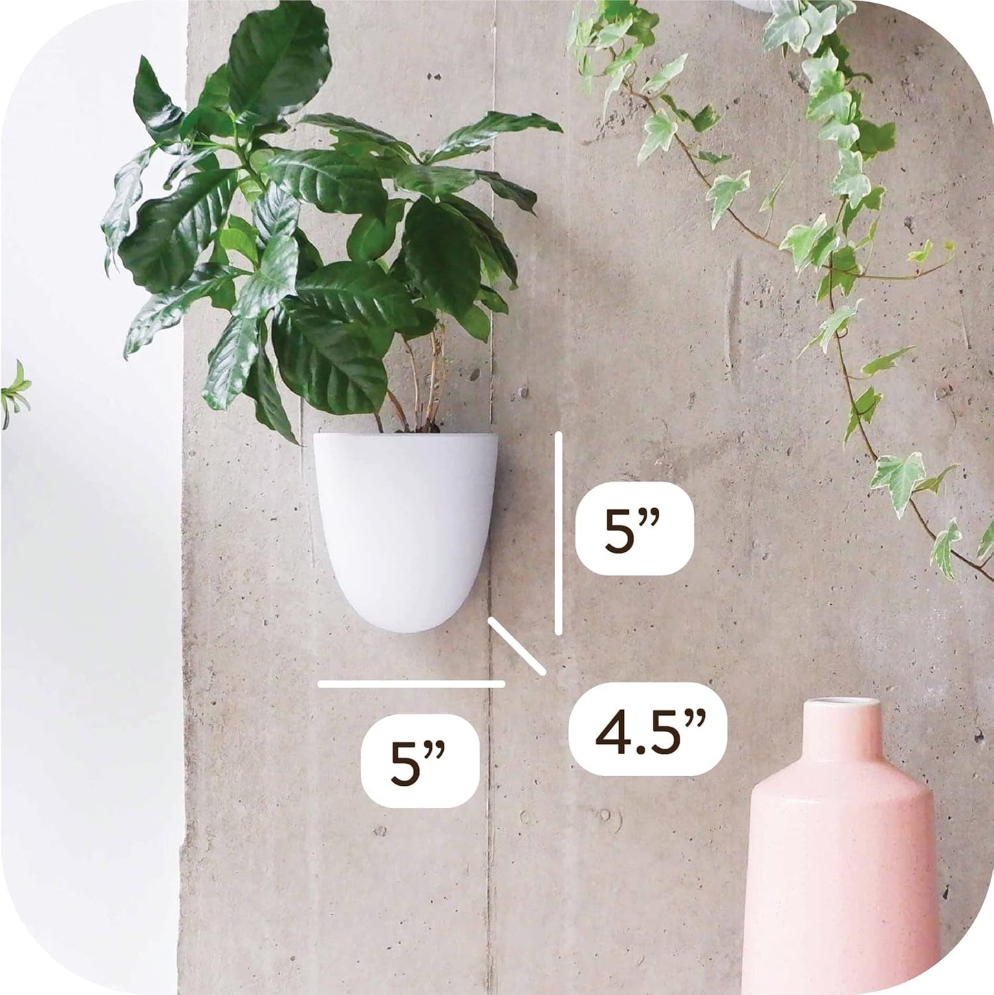 Macetas de pared con riego automático Virgo (juego de 6) - Fáciles de regar e instalar - Livianas - Crea tu propio jardín vertical - Macetas de pared para plantas de interior