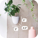 Macetas de pared con riego automático Virgo (juego de 6) - Fáciles de regar e instalar - Livianas - Crea tu propio jardín vertical - Macetas de pared para plantas de interior
