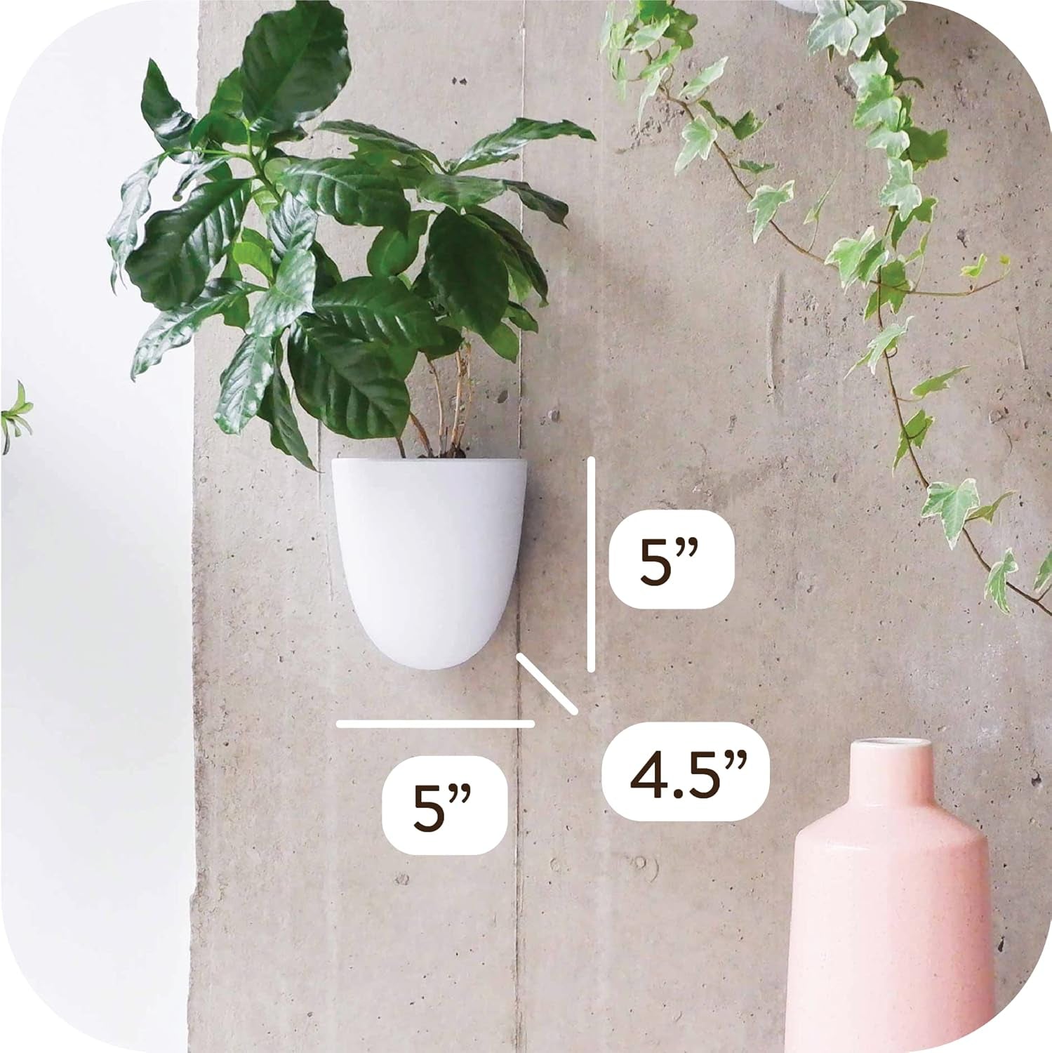 Macetas de pared con riego automático Virgo (juego de 6) - Fáciles de regar e instalar - Livianas - Crea tu propio jardín vertical - Macetas de pared para plantas de interior