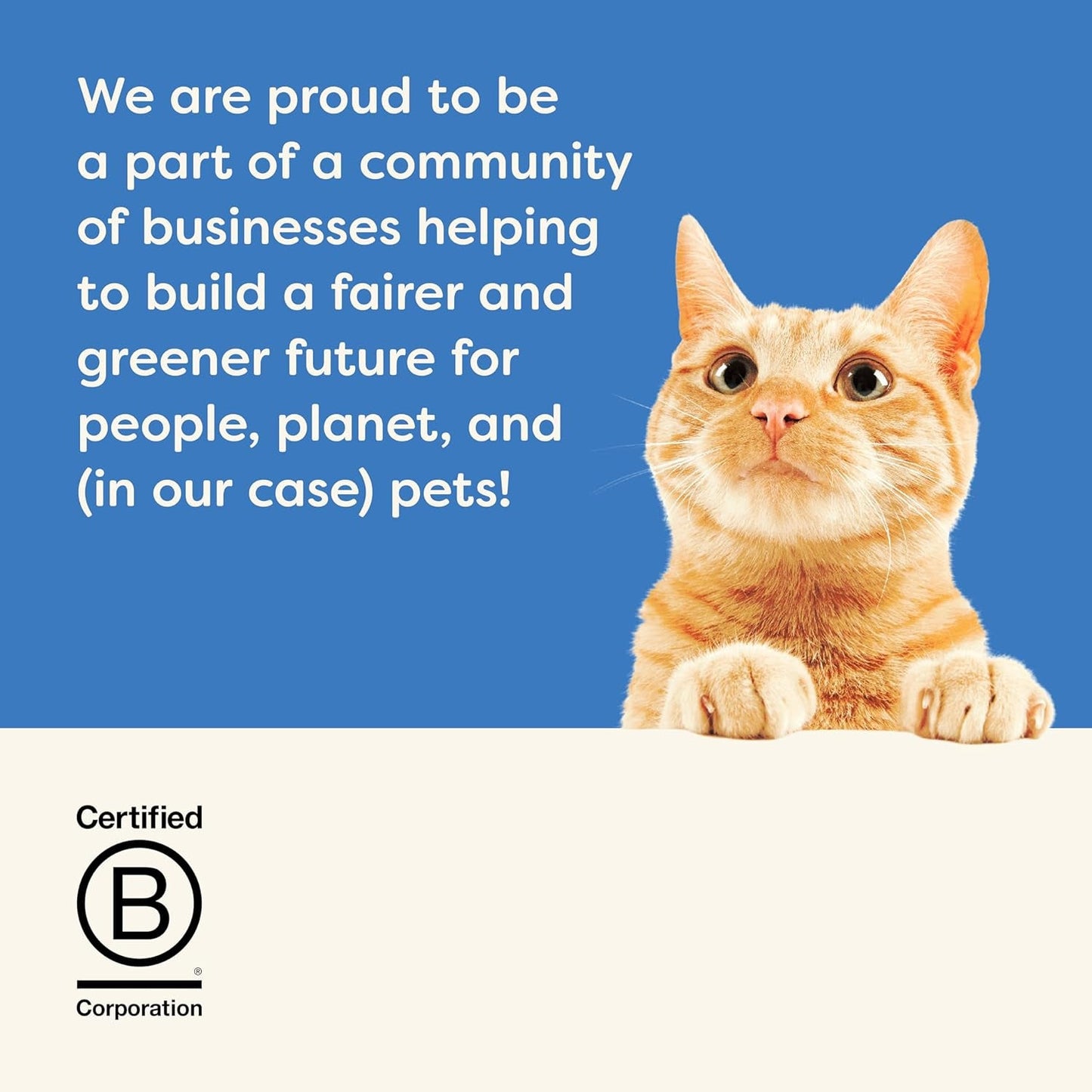 Applaws Comida húmeda natural premium para gatos, filetes de atún con camarones del Pacífico en sopa, sobres de porciones de 70 g (12 x 70 g)