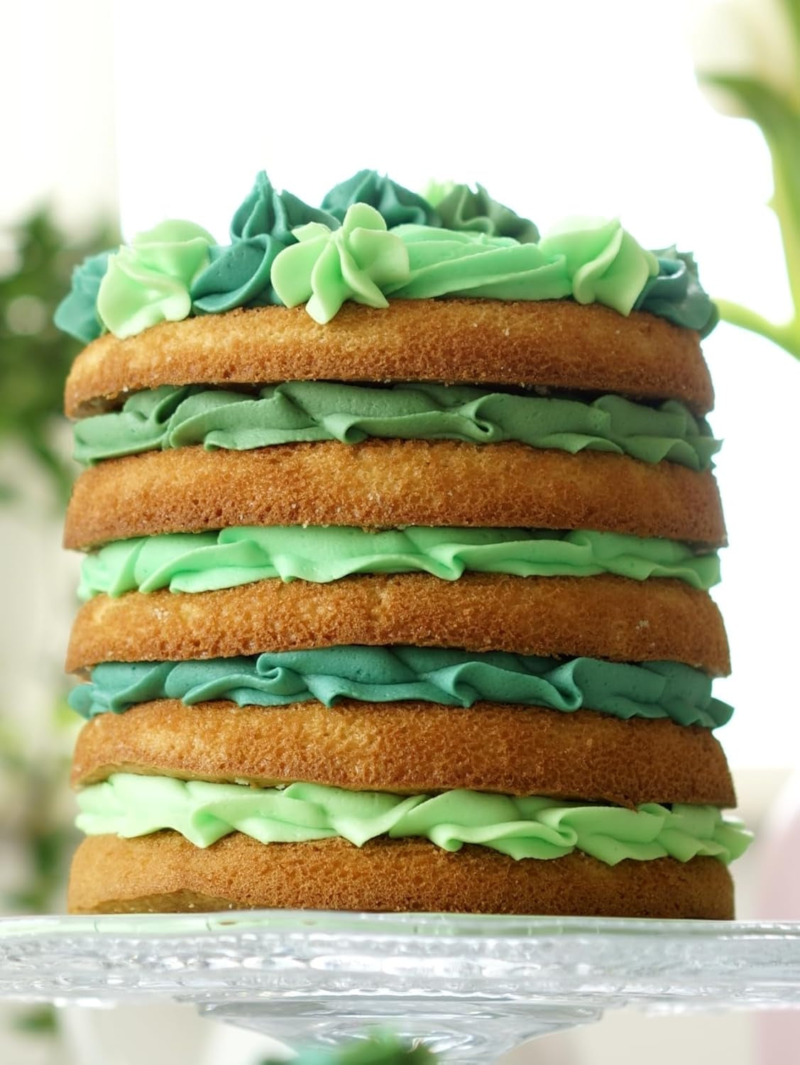 Colorante alimentario para pasta Sugarflair, verde, juego de 4, colorante alimentario para pasta, fondant, mazapán, pasta de azúcar, crema de mantequilla y más: verde Ilex, verde primavera, verde abeto, verde fiesta - Juego de 4