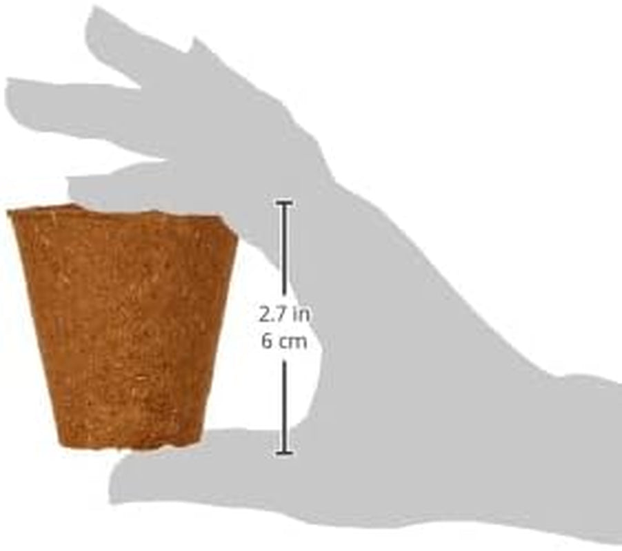 Macetas Dehner para plántulas, redondas, Ø 6 cm, 96 piezas, marrón