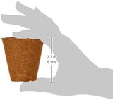 Macetas Dehner para plántulas, redondas, Ø 6 cm, 96 piezas, marrón