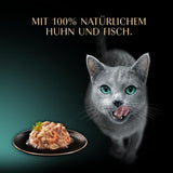 SHEBA Filetes Adultos Katzenfutter en Salsa con Pollo, Hochseefisch und Garnelen 16 x 60g Concha