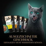 SHEBA Nature's Collection en salsa - Alimento húmedo para gatos de alta calidad, variedad fina (MSC) en sobres porcionados - 72 x 85 g