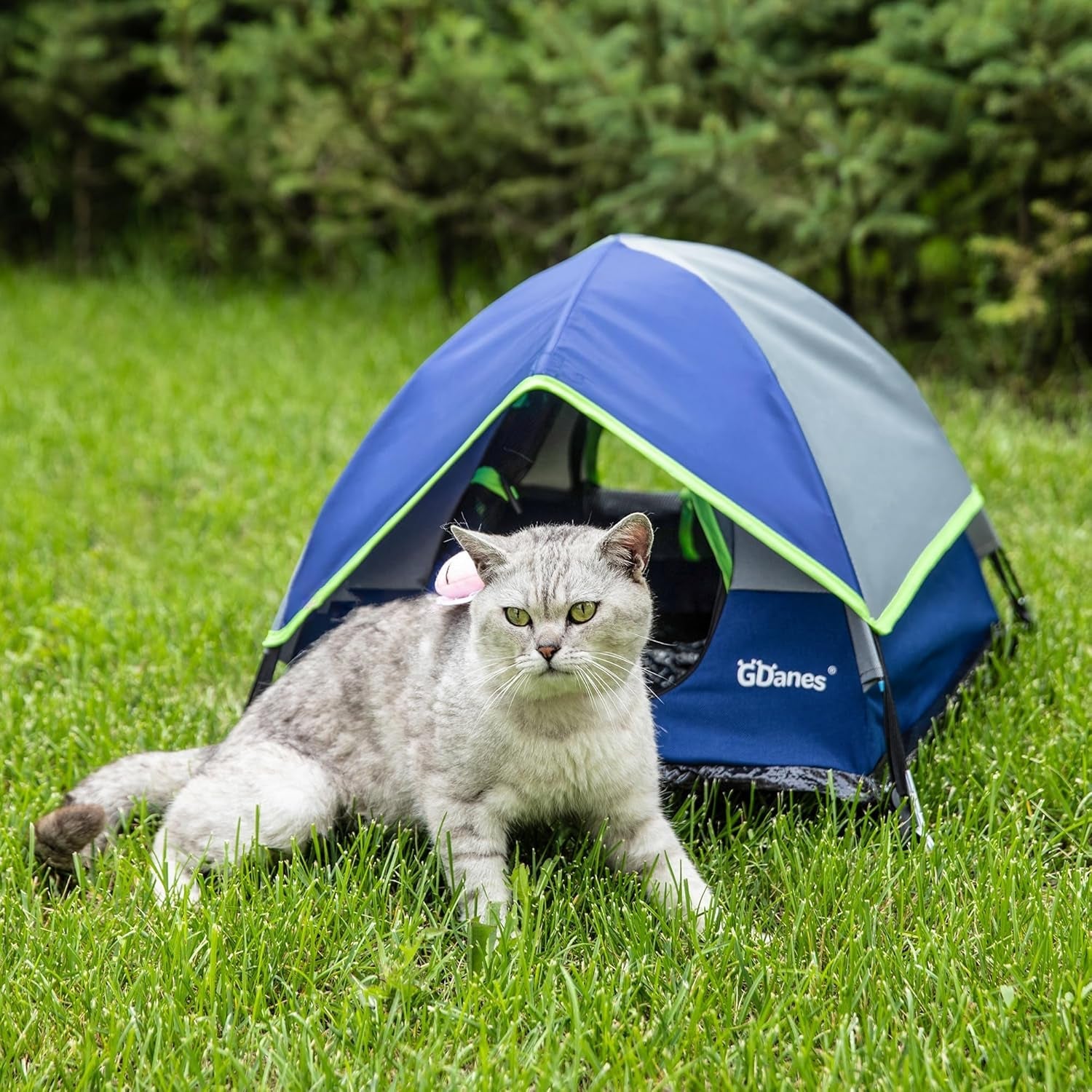Mantas y Muebles, Mascotas, Cuevas y Casas, Gatos, Camas para Gatos, Camas para Gatos, Colchones