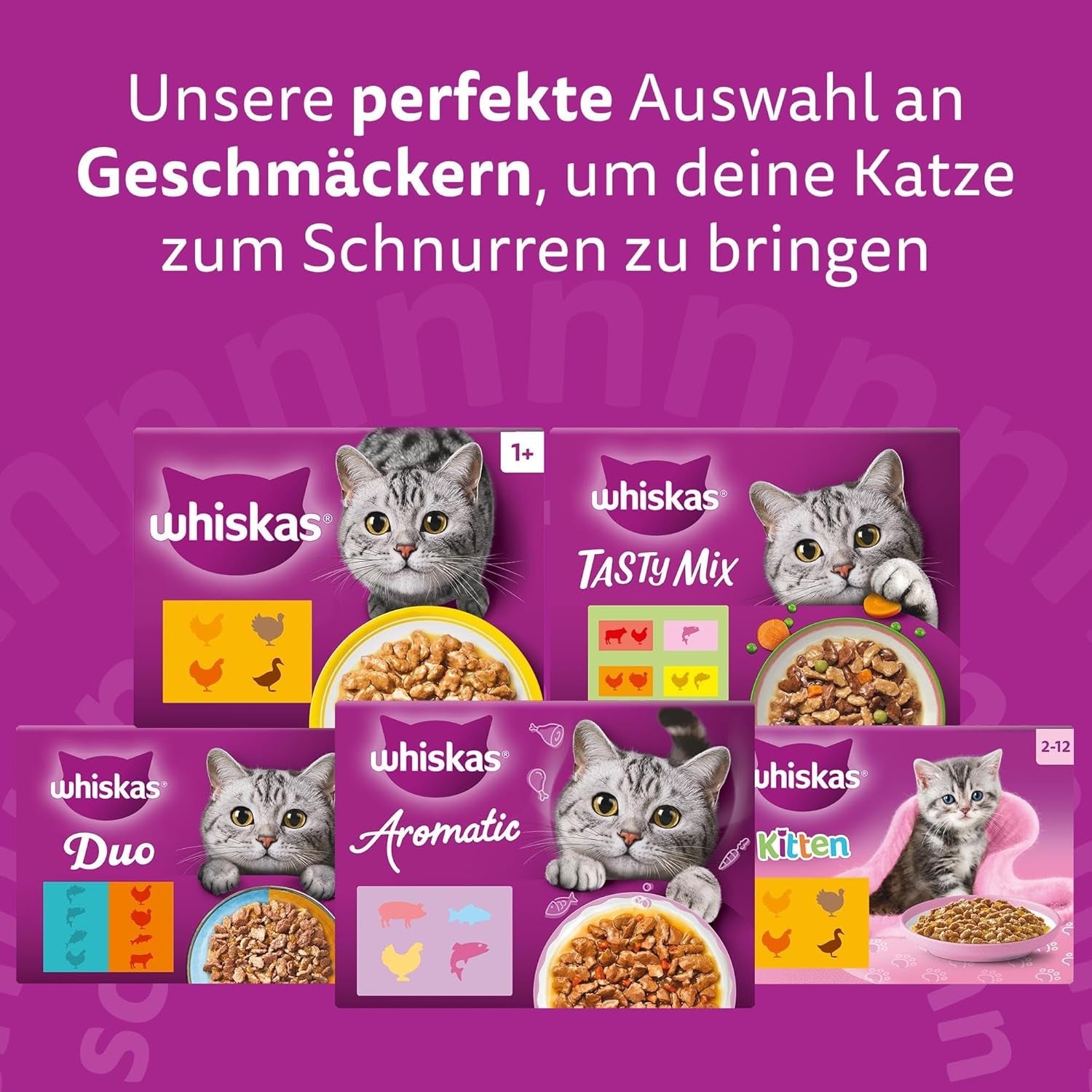 Whiskas Junior Classic Selection Comida húmeda para gatos en salsa, 48 sobres, 12 x 85 g (paquete de 4) - Comida húmeda de alta calidad para gatos en crecimiento, de 2 a 12 meses