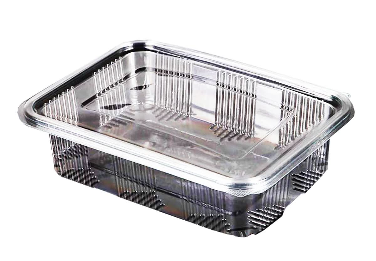 Cazuela de plástico 1500 ml, juego de 10 Catering Nati Shop