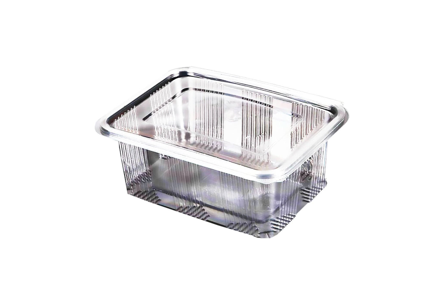 Cazuela de plástico 2000 ml, juego de 10 Catering Nati Shop