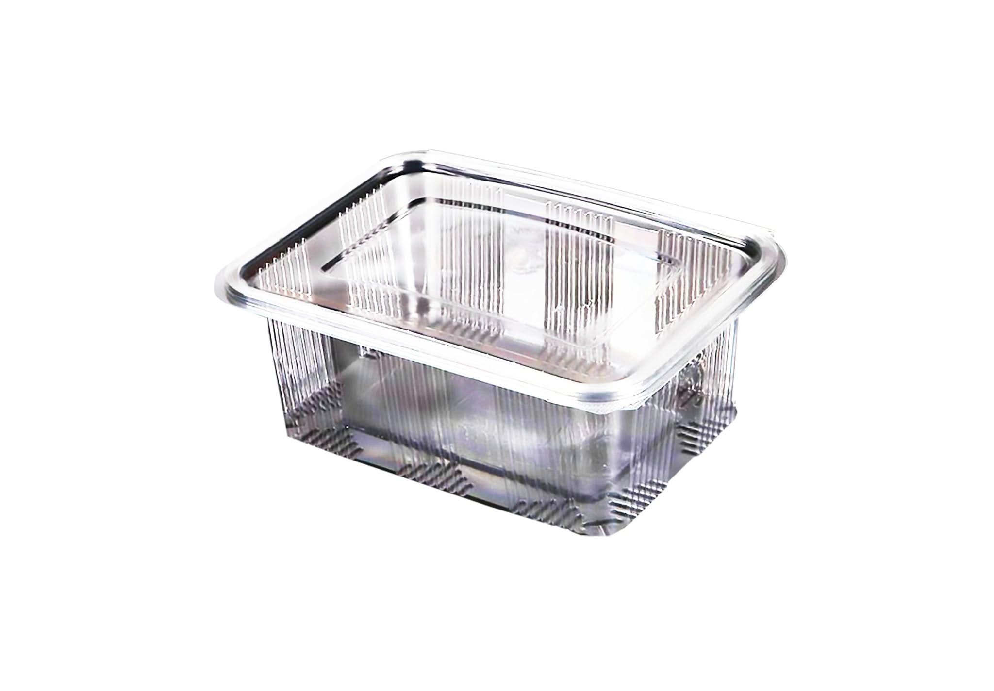 Cazuela de plástico 2000 ml, juego de 10 Catering Nati Shop
