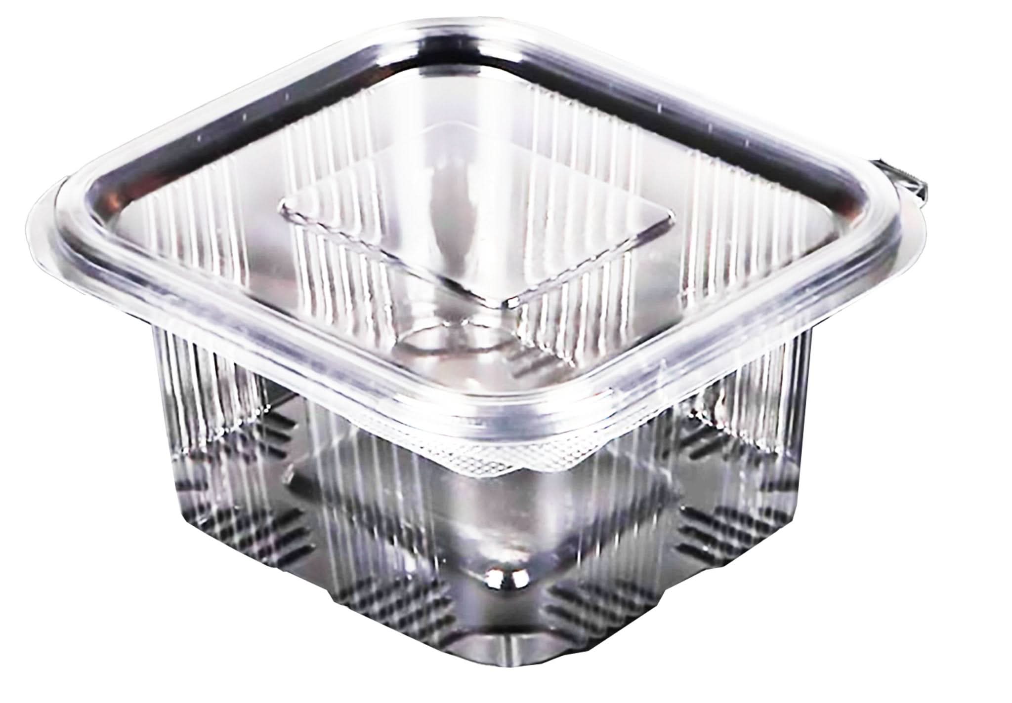 Cazuela de plástico 500 ml, juego de 10 Catering Nati Shop