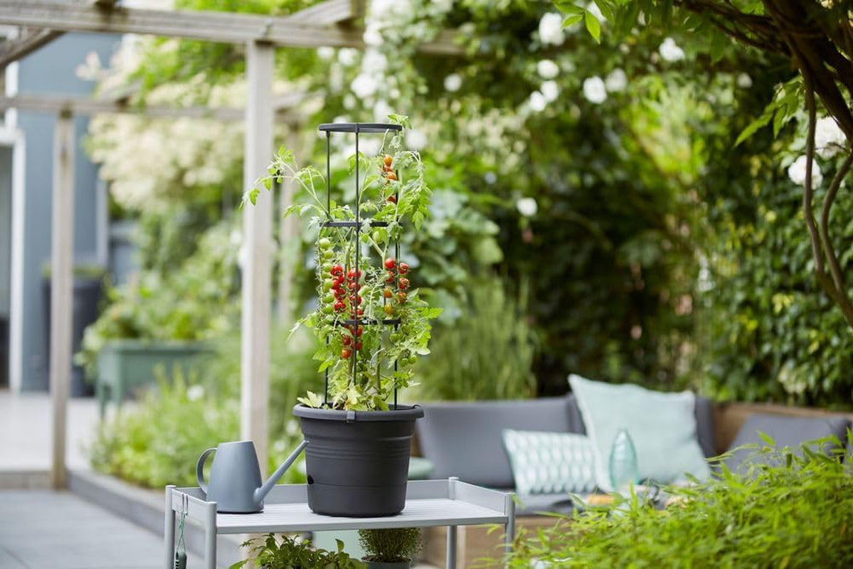 elho Green Basics Tomato pots 33 - Macetas para cultivo y cosecha en exterior - Ø 33,5 x Alt. 26,0 cm - Negro/Negro vivo